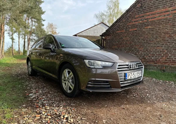 samochody osobowe Audi A4 cena 75999 przebieg: 167000, rok produkcji 2016 z Warka